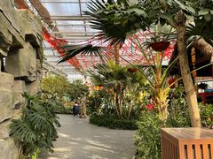 -南宫五洲植物乐园