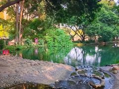 -成都市活水公园