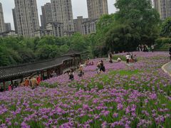 -龙头寺公园