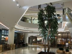 -合景·悠方(成都店)