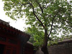 -张学良旧居陈列馆