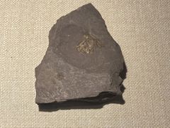 -大连金州博物馆