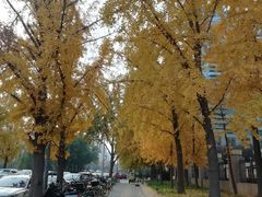 -中国科技会堂