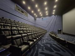 -万达影城(汉街万达广场IMAX店)