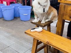 -正南齊北重庆老火锅(光华村直营店)