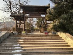 -阳台山自然风景区