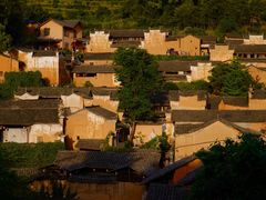 -杨家堂村