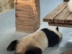 -无锡动物园·太湖欢乐园