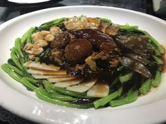 -松云泽