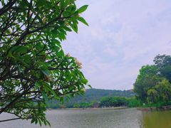 -顺峰山公园