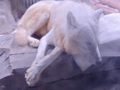 -上海海昌海洋公园-冰山北极馆