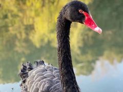 -东华大学(松江校区)