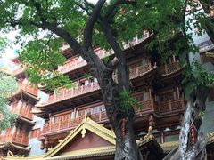 -大佛寺高级素食自助餐厅