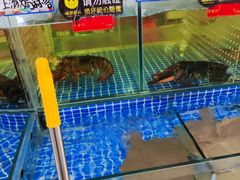 -登瀛楼饭庄(领世郡店)