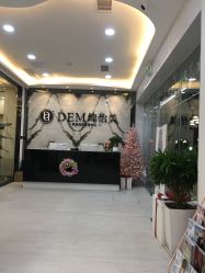 -DEM缔怡美科技美容