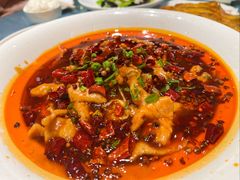 -大连湾旭日·家宴·海肠捞饭(马栏广场店)