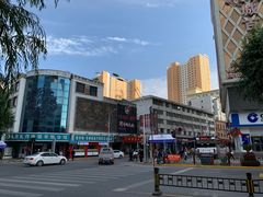 -德禄酸奶(莫家街店)