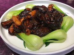 -老城味道·传统天津菜(杨柳青店)