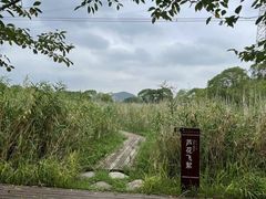 -长田漾湿地公园