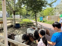 -水上乐园·欢乐世界