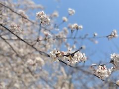 -西北湖绿化广场