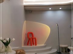 -More Fun猫咖 二十只万元加菲主题