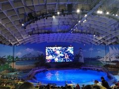 -海合安武汉极地海洋公园