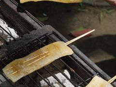 -上海滨江森林公园