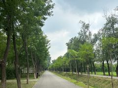 -东郊湿地公园