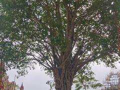 -一寨两国风景区