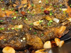 锅烧深海碟鱼头-大份-开海·红岛海鲜虾水饺(石老人店)