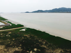 iphone_upload_pic-花岙岛
