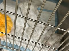-艾吉宠物医院·疑难杂症转诊中心·猫友好(碧江路院)