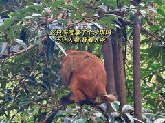 -黔灵山公园