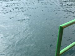 -抚仙湖禄充风景区