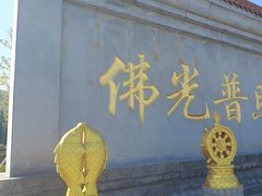 -龙口南山旅游景区