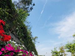 -仙岳公园