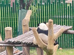 -沈阳森林动物园