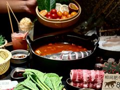 -大龙燚·旷野鲜火锅(广州首店)