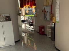 -瑞鹏宠物医院·骨科·猫科·内科(第一中心)