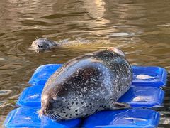 -华夏文旅海洋公园