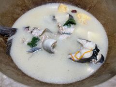 -滇小鱼·云南野生菌火锅(上杭路店)