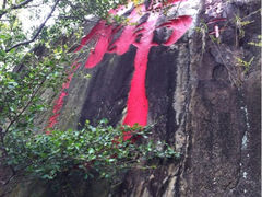 upload_pic-清源山风景区