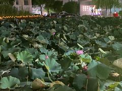 -苏州河梦清园环保主题公园