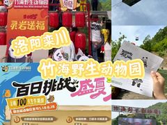 -栾川竹海野生动物园