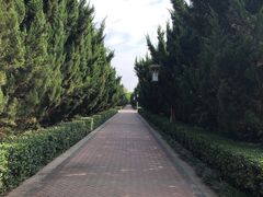 -洛阳市隋唐城遗址植物园