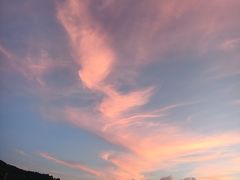 -夏军农家乐