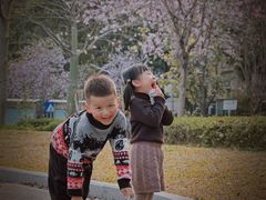 -景田北六街公园宠物主题园