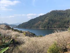 -广州市流溪河国家森林公园