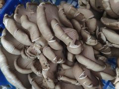 -永兴食杂店烘焙坊(新年蛋糕店)